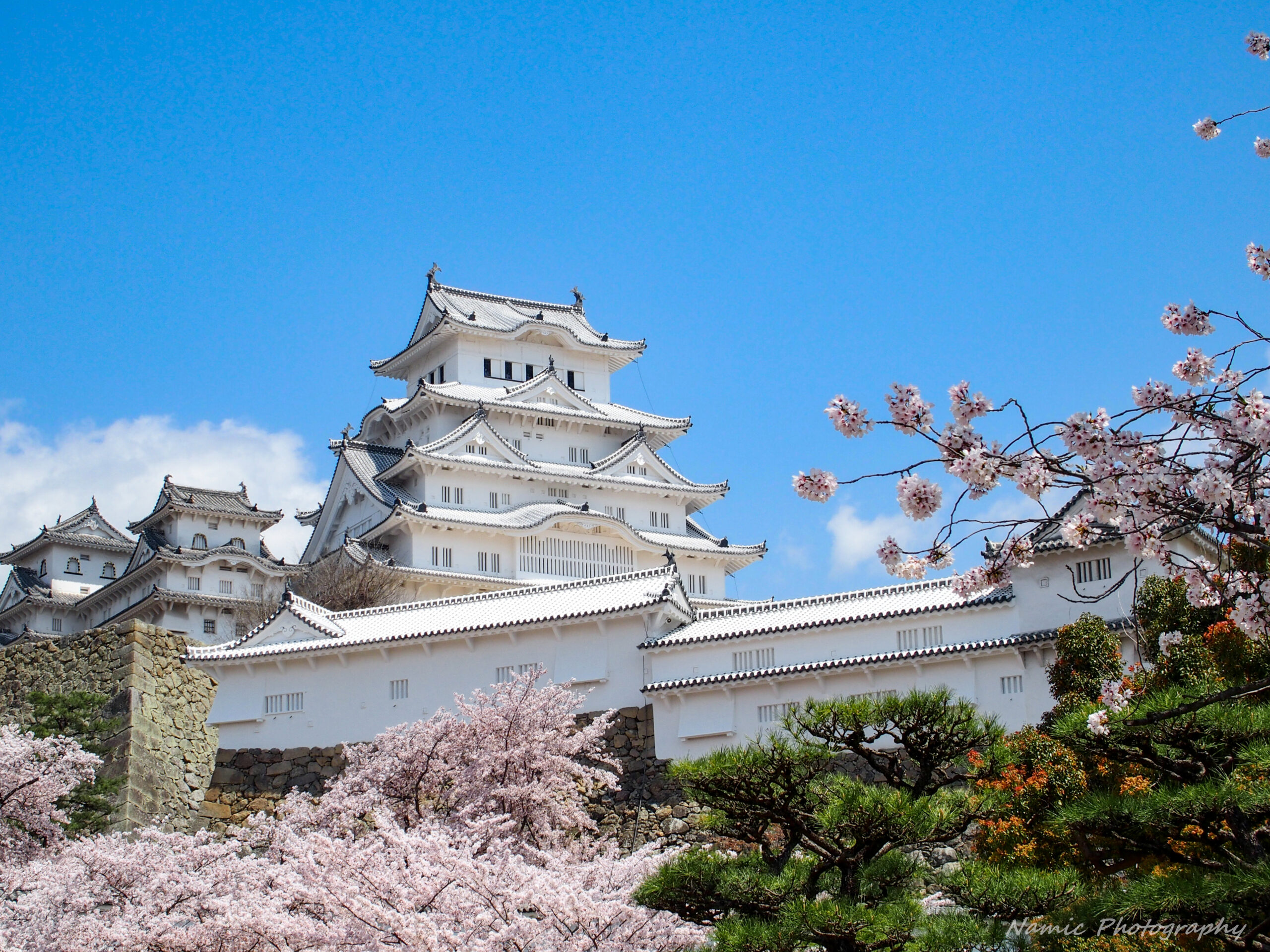 21年の姫路城の桜開花状況は 3日連続で姫路城の開花状況を調査 ほぼソロ活記