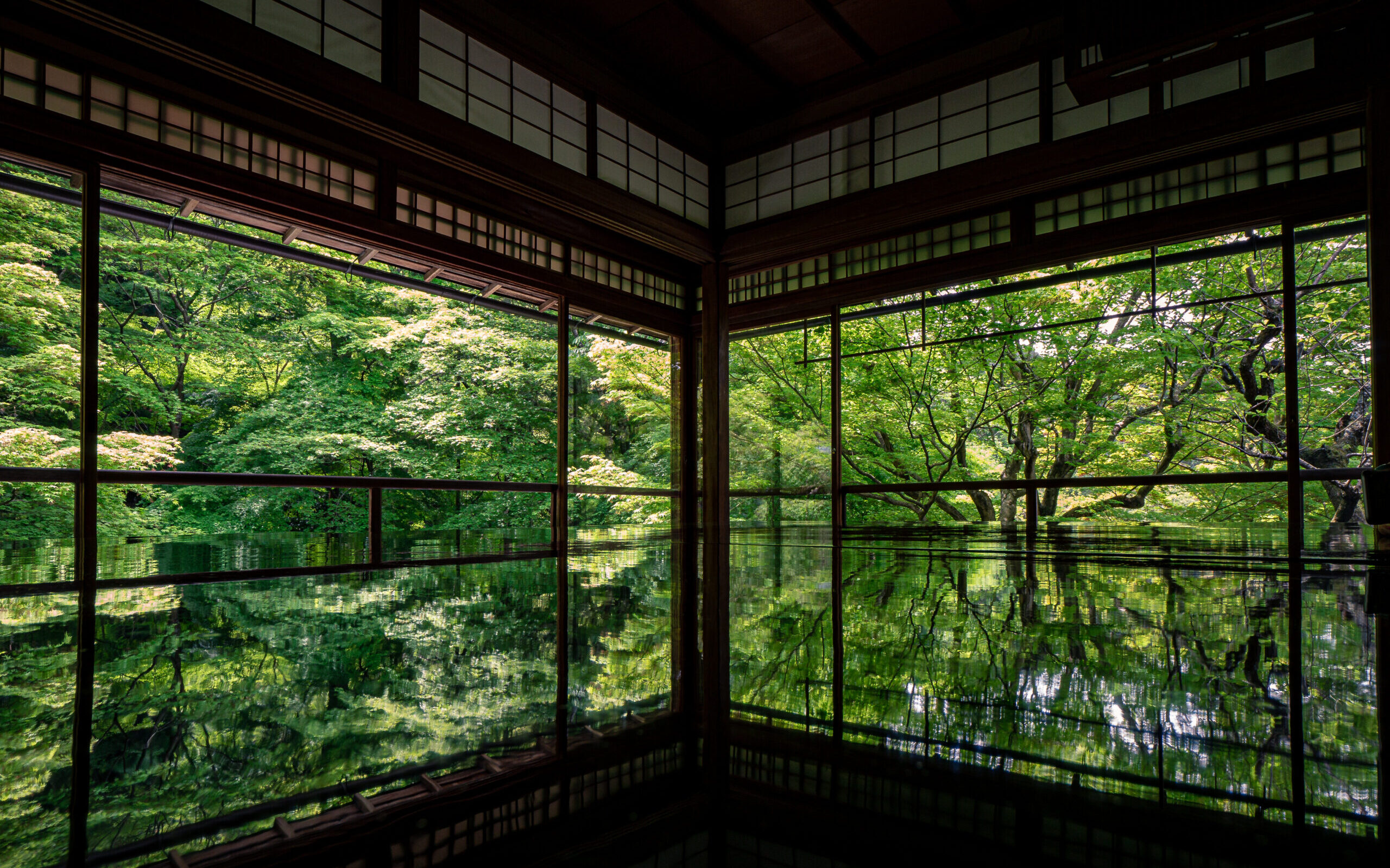 京都で新緑を楽しめるオススメの穴場 定番スポット 瑠璃光院 ほぼソロ活記