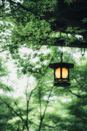 今熊野観音寺