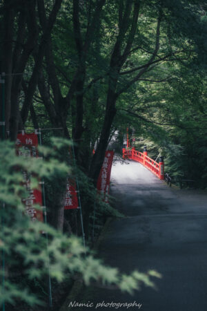今熊野観音寺の