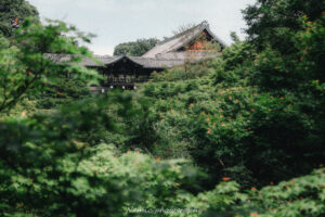 東福寺の通天橋